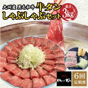 15位! 口コミ数「0件」評価「0」【全6回定期便】九州産 黒毛和牛 牛タンしゃぶしゃぶセット 500g 計3kg 吉野ヶ里町/やきとり紋次郎 [FCJ073]