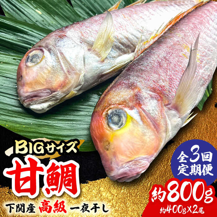 [全3回定期便]びっくりビッグサイズ!甘鯛一夜干し2尾(1尾あたり約400g) 総計6尾 おつまみ 酒の肴 焼き物にぴったり 吉野ヶ里町/やきとり紋次郎 