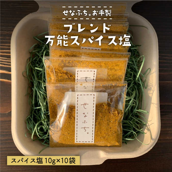 ＜テレビで紹介された人気カレー店＞ブレンド万能スパイス塩 10袋セット 吉野ヶ里町/せなふち。 [FCM001]