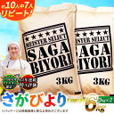 53位! 口コミ数「2件」評価「5」【令和5年産】特A獲得！さがびより白米10kg（5kg×2袋） 吉野ヶ里町/大塚米穀店 [FCW003]