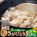 【ふるさと納税】【令和5年産】【全6回定期便】特A獲得！さがびより 玄米 5kg 総計30kg 吉野ヶ里町/大塚米穀店 FCW021