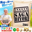 【ふるさと納税】【令和5年産】特A獲得！さがびより 無洗米 5kg 吉野ヶ里町/大塚米穀店[FCW025]