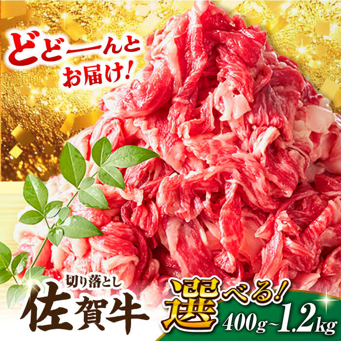 【ふるさと納税】【選べる発送月】【不揃い訳あり・部位おまかせ】600g×2 計1.2kg 佐賀牛 切り落とし...