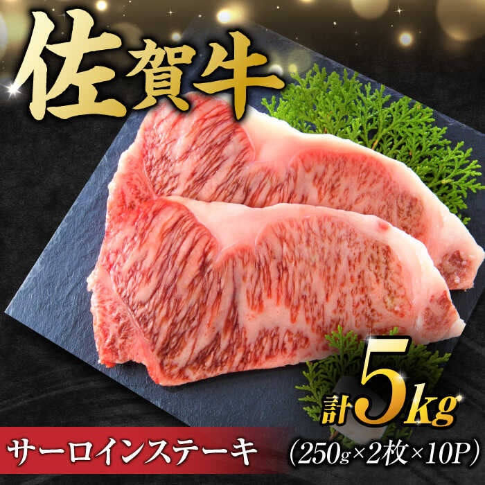 13位! 口コミ数「0件」評価「0」【不揃い訳あり】佐賀牛 サーロインステーキセット 5kg （ 250g 2枚入り×10パック） 吉野ヶ里町 [FDB012]