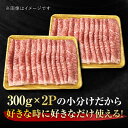 【ふるさと納税】小分けが嬉しい！ 艶さし 佐賀牛 ローススライス 600g（300g×2P） 吉野ヶ里町 [FDB019] 3