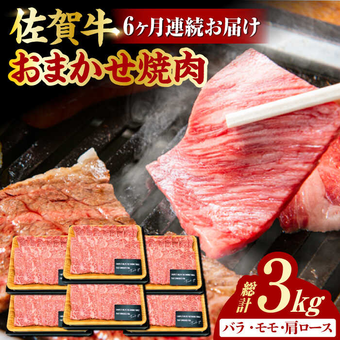 47位! 口コミ数「0件」評価「0」【6回定期便】 艶さし！ 佐賀牛 焼肉用 計3kg （500g×6回） ※バラ・肩ロース・モモのいずれかの部位※ 吉野ヶ里町 [FDB034･･･ 