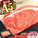 【ふるさと納税】極上 佐賀牛 赤身 A5 サーロイン ステーキ 250g × 2枚 サーロインステーキ ロースステーキ | ステーキ肉 厚切り 赤身 希少部位 ...