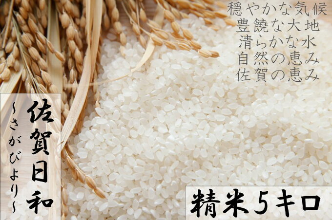 【ふるさと納税】【R元年産米】佐賀県産『さがびより（精米5kg）』9年連続特A受賞(...