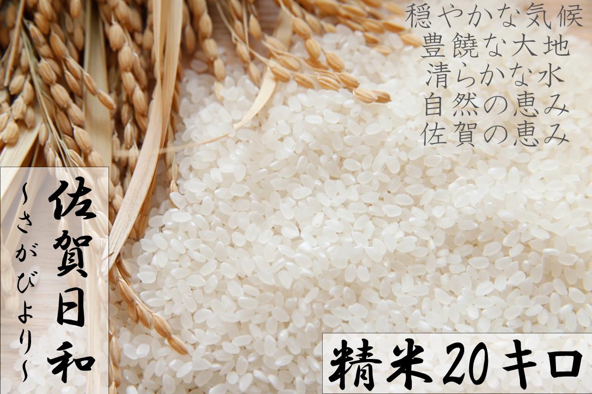 【ふるさと納税】【R元年産米】佐賀県産『さがびより（精米20kg）』9年連続特A受賞...