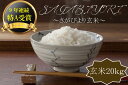【ふるさと納税】【R元年産米】佐賀県産『さがびより(玄米20
