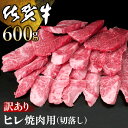 【ふるさと納税】【訳あり】佐賀牛 ヒレ焼肉用(切落し) 600g【佐賀牛 牛肉 牛ヒレ ヒレ肉 ブランド肉 不揃い ステーキ肉 サシ 焼肉 訳あり 切り落とし BBQ バーベキュー イベント】 C-R030001