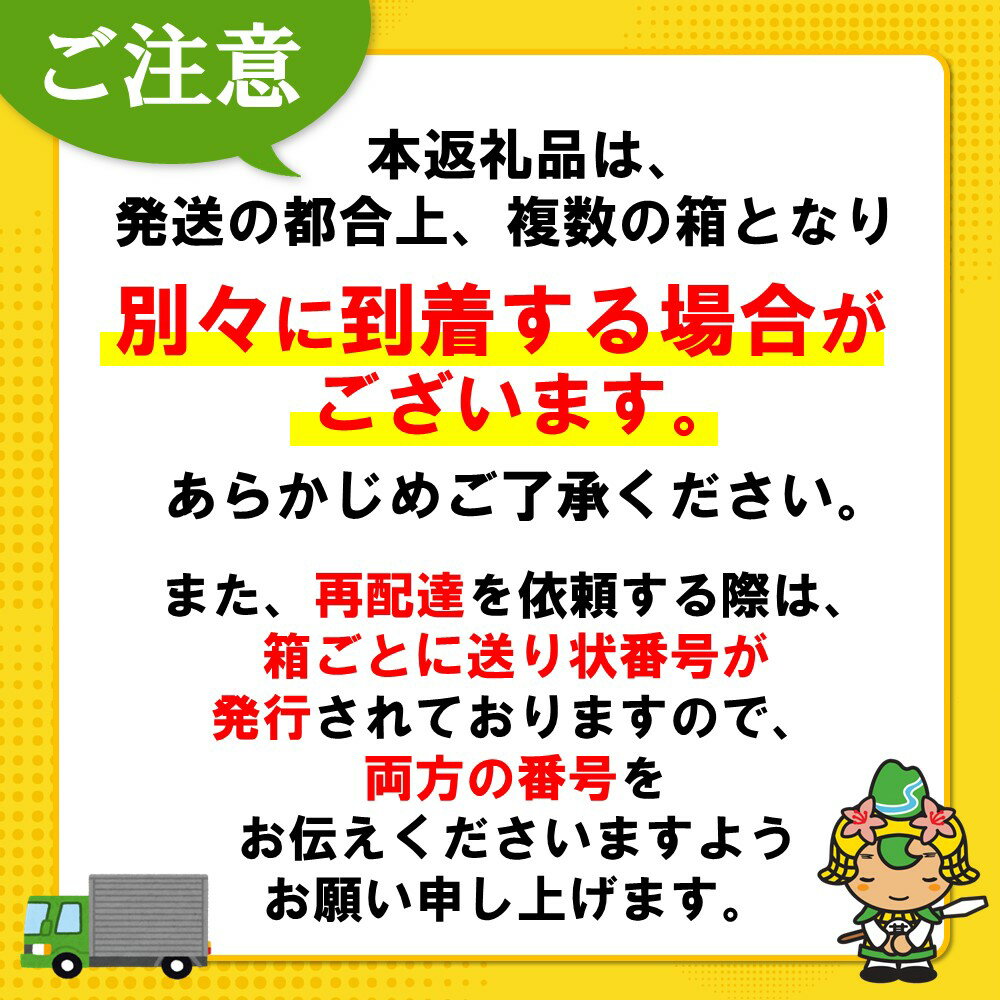 【ふるさと納税】アイシー・スパーク 500mlPET(2ケース)計48本【コカコーラ 炭酸 強炭酸 無糖 スッキリ キレ 爽快感 リフレッシュ 気分転換 冷却スパーク技術 ペットボトル 常備 保存 買い置き 24本×2ケース】 A4-R047042