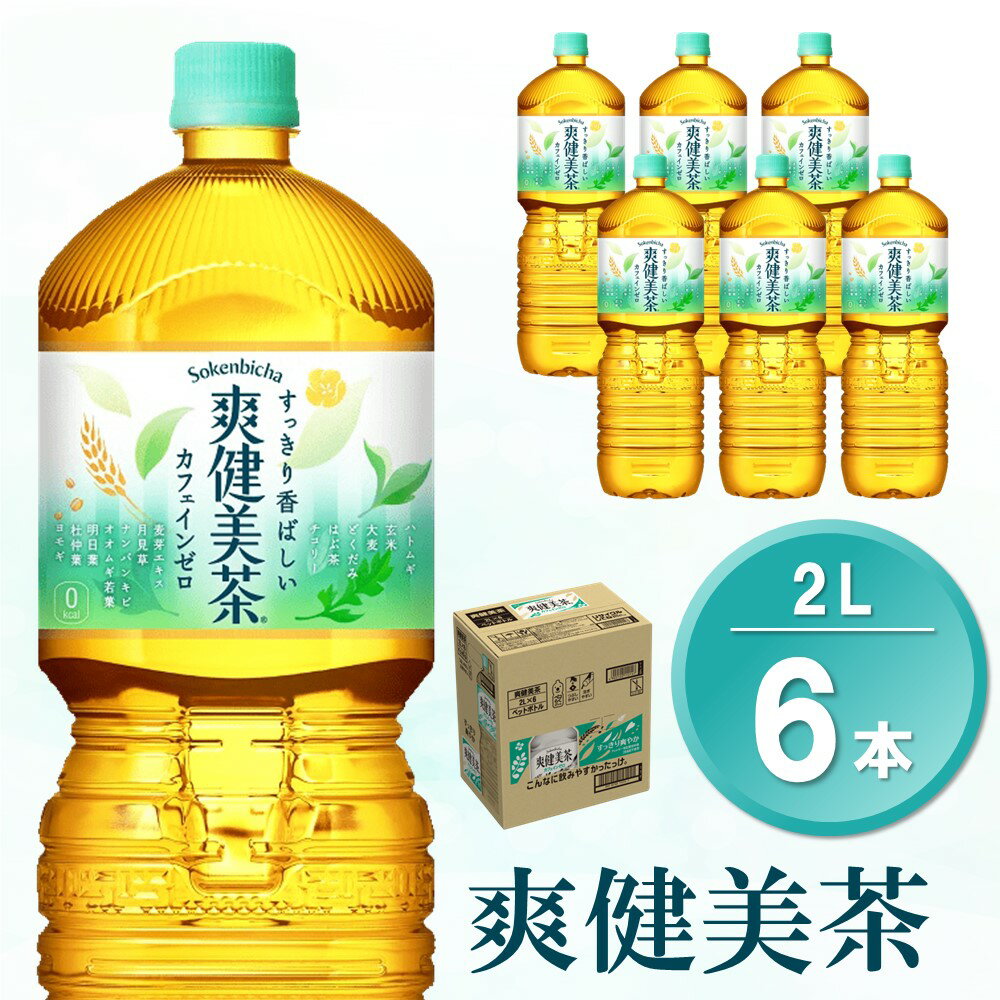 【ふるさと納税】爽健美茶 2L×6本(1ケース)【コカコーラ カフェインゼロ 香ばしい おいしい ブレンド茶 お茶 国産 ハトムギ 玄米 大麦 ドクダミ ハブ茶 チコリー 麦芽 植物素材 飲料 お徳用 ペットボトル】 Z-R047039 1