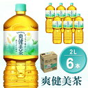 【ふるさと納税】爽健美茶 2L×6本(1ケース)【コカコーラ カフェインゼロ 香ばしい おいしい ブレンド茶 お茶 国産 ハトムギ 玄米 大麦 ドクダミ ハブ茶 チコリー 麦芽 植物素材 飲料 お徳用 ペットボトル】 Z-R047039