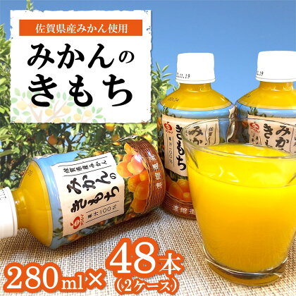 みかんのきもち 280ml×48本(計2ケース)【JA みかんジュース さがみかん 果汁100％ 美味しい コク 飲みきり 280ml】 A9-R012004