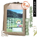 【ふるさと納税】令和5年産【基肄城水門米】さめてもおいしい棚田のお米 5kg【ひのひかり 米 玄米 お米 やまつき米 モチモチ 基山町産 棚田米 5kg】 Z3-R072002