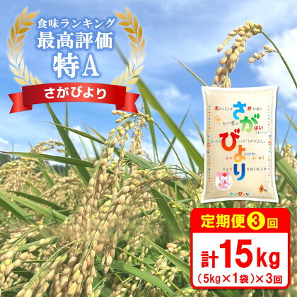 【3カ月定期便】☆特A評価米☆ 令和5年産 さがびより 5kg【さがびより 米 お米 ごはん ご飯 白米 精米 ブランド ランキング 特A米 県産米 美味しい】 B4-R082301