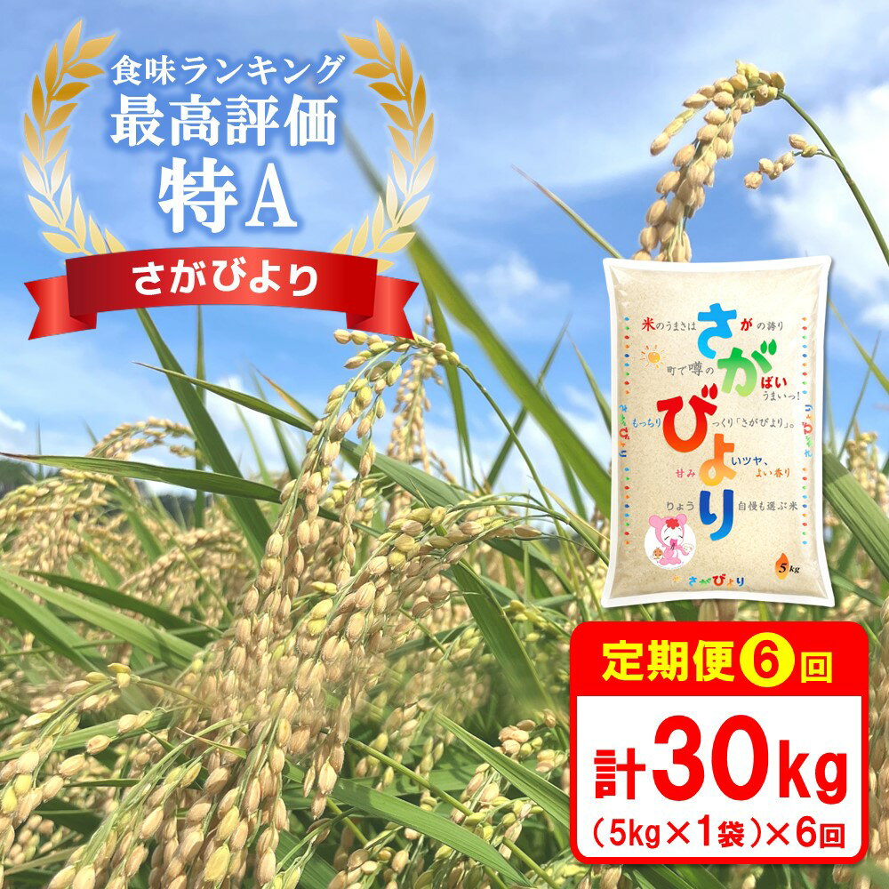 【ふるさと納税】【6カ月定期便】☆特A評価米☆ 令和5年産 さがびより 5kg【さがびより 米 お米 ごはん ご飯 白米 精米 ブランド ランキング 特A米 県産米 美味しい】 D9-R082305