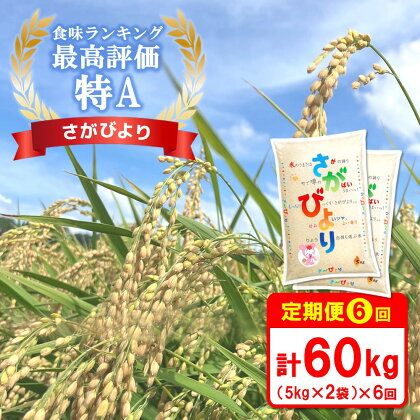 【6カ月定期便】☆特A評価米☆ 令和5年産 さがびより 10kg(5kg×2)【さがびより 米 お米 ごはん ご飯 白米 精米 ブランド ランキング 特A米 県産米 美味しい】 G7-R082306