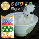 【ふるさと納税】令和5年産 さがびより 5kg【特A米 米 ブランド米 県産米 精米 ごはん おにぎり お弁当 ふっくら もっちり】 Z3-R018012