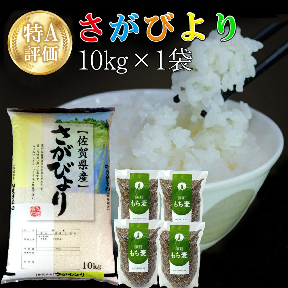 令和5年産 さがびより 10kg+もち麦 4袋[特A米 米 ブランド米 県産米 精米 ごはん おにぎり お弁当 もち麦 もちむぎ 食物繊維 ぷちぷち もちもち] A8-R018017