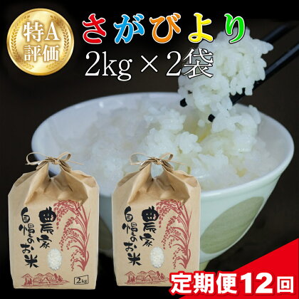 【12カ月定期便】令和5年産 さがびより 4kg (2kg×2袋)【特A米 米 ブランド米 県産米 精米 ごはん おにぎり お弁当 ふっくら もっちり】 H9-R018314