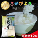 17位! 口コミ数「0件」評価「0」【12カ月定期便】令和5年産 さがびより 10kg【特A米 米 ブランド米 県産米 精米 ごはん おにぎり お弁当 ふっくら もっちり】 J･･･ 