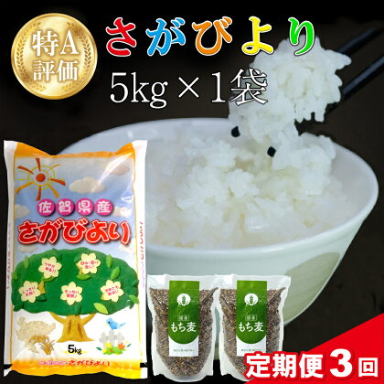 【3カ月定期便】令和5年産 さがびより 5kg＋もち麦 2袋【特A米 米 ブランド米 県産米 精米 ごはん おにぎり お弁当 もち麦 もちむぎ 食物繊維 ぷちぷち もちもち】 C1-R018333