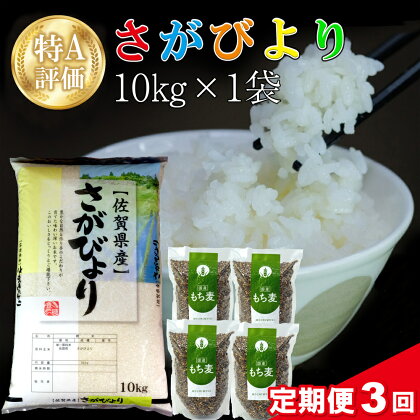 【3カ月定期便】令和5年産 さがびより 10kg＋もち麦4袋【特A米 米 ブランド米 県産米 精米 ごはん おにぎり お弁当 もち麦 もちむぎ 食物繊維 ぷちぷち もちもち】 E4-R018335