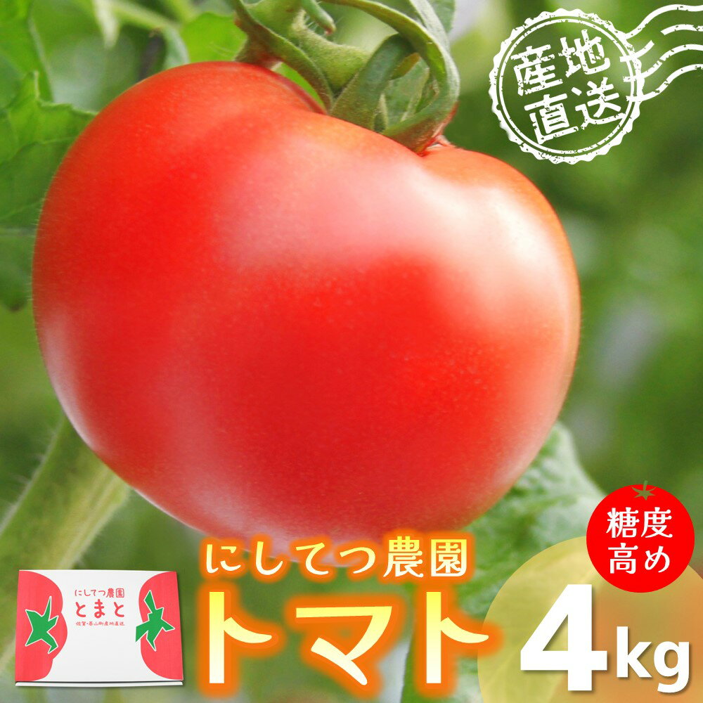 [限定100セット]にしてつ農園トマト 4kg[トマト とまと ミディトマト 酸味 甘み 限定 安全×安心×糖度が高め] A1-R056001