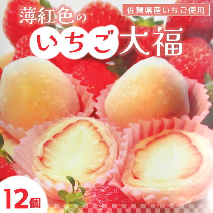 薄紅色のいちご大福【季節限定 いちご 大福 白あん お餅 和菓子 12個 佐賀県産】 A3-R008004