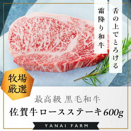 《佐賀牛》霜降りロースステーキ 3枚 600g【佐賀牛 霜降り肉 ロース肉 サシ ステーキ 肉汁 とろける やわらか 美味しい ブランド肉】 C-R081011