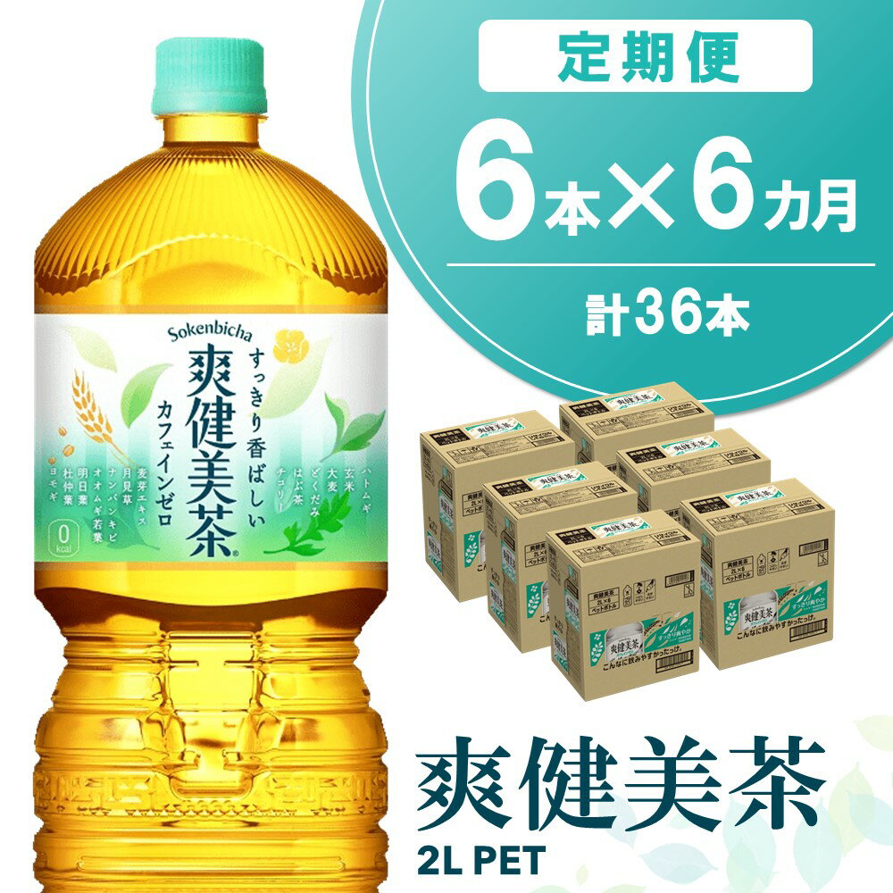 【ふるさと納税】【6か月定期便】爽健美茶 2L×6本(1ケース)【コカコーラ カフェインゼロ 香ばしい おいしい ブレンド茶 お茶 国産 ハトムギ 玄米 大麦 ドクダミ ハブ茶 チコリー 麦芽 植物素材 飲料 お徳用 ペットボトル】C1-R090354のサムネイル