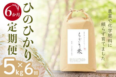 ふるさと納税】【令和6年新米・先行受付】《6か月定期便》無農薬 ふるさと納税】【令和6年新米・先行受付】《6か月定期便》無農薬