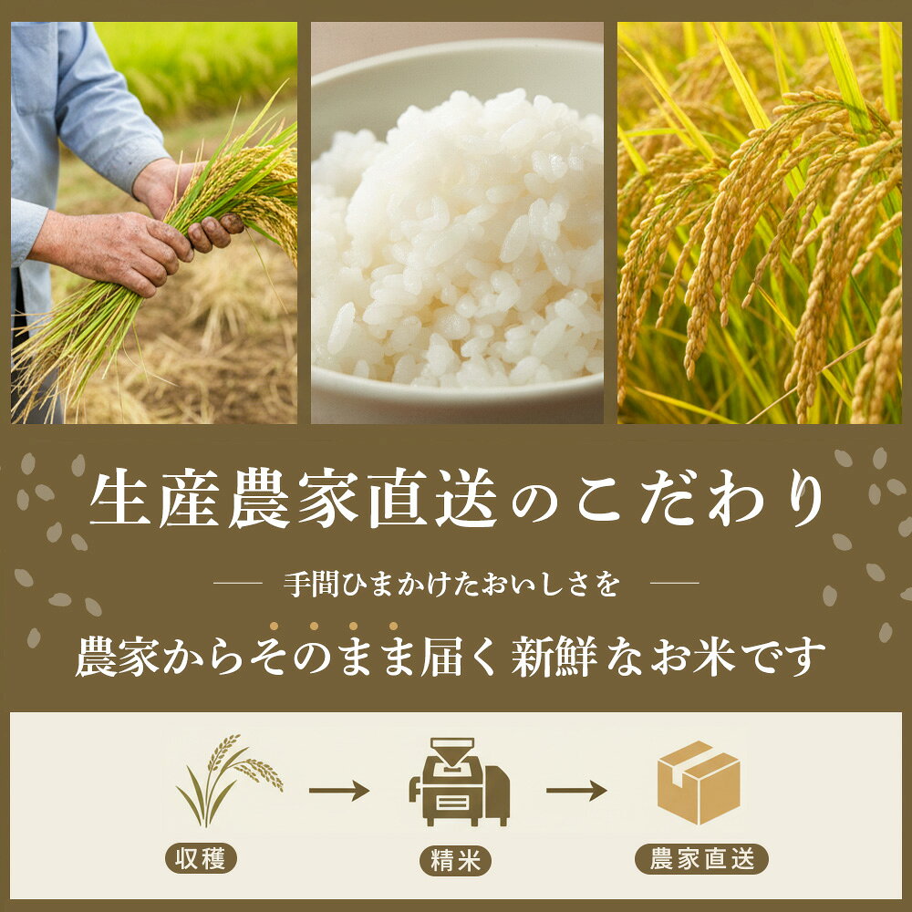 【ふるさと納税】【連続特A受賞米】佐賀県基山町の米・令和7年産 さがびより(精米)5kg〈生産者直送〉【米 ブランド米 特A 冷めても美味い 5kg ふるさと納税】K094003
