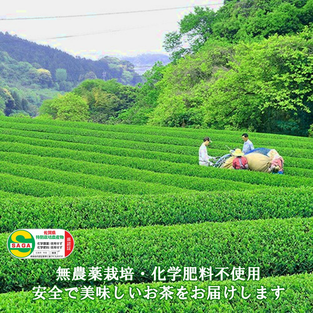 【ふるさと納税】【無農薬栽培】基山茶特上煎茶3袋セット【お茶 緑茶 基山茶 基山町 特上 煎茶 旨み 渋み 美味しい 無農薬】 A3-R009002