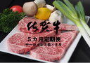 【ふるさと納税】JH5-002R 佐賀牛サーロインステーキ ...