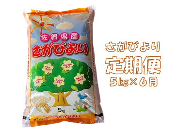 【ふるさと納税】E6-001R 6カ月定期便さがびより5kg(計30kg)
