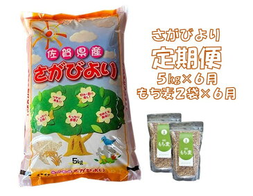 【ふるさと納税】H2-001R 6カ月定期便さがびより5kg＆もち麦2袋（計30kg・12袋）