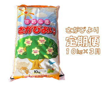 【ふるさと納税】E-049R 3カ月定期便さがびより 10kg(計30kg)
