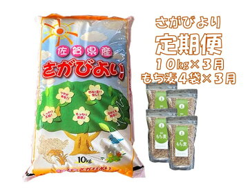 【ふるさと納税】G7-002R 3カ月定期便さがびより 10kg＆もち麦4袋（計30kg・12袋）