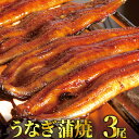 【ふるさと納税】うなぎ蒲焼専門店「柳屋」国産うなぎ蒲焼 約1...