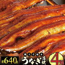 【ふるさと納税】うなぎ蒲焼 (約160g×4尾)