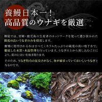 ふるさと納税国産人気うなぎ鰻ウナギ蒲焼かば焼き丑の日父の日敬老の日佐賀県九州産特産品お取り寄せ上峰町おすすめオススメお取り寄せグルメご当地ご当地グルメ名産九州