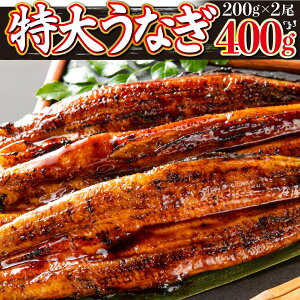 【ふるさと納税】合計400g!! 国産うなぎ蒲焼 (約200g×2尾)【緊急支援】鰻 ウナギ 蒲焼 かば焼き 有頭 九州産 特産品 お取り寄せ 上峰町 お取り寄せグルメ