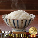 【ふるさと納税】“9年連続特A受賞”さがびより10kg (5...