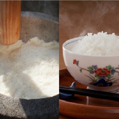 令和2年産 「さがびより」5kg&「ヒヨクモチ」5kg【先行予約】2020年10月下旬から順次発送予定!