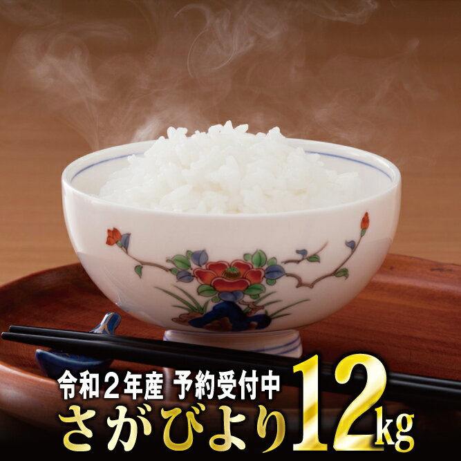 【ふるさと納税】令和2年産 さがびより12kg（5kgx2袋 2kg×1袋）【先行予...