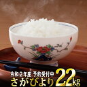 【ふるさと納税】令和2年産 さがびより22kg(5.5kgx...