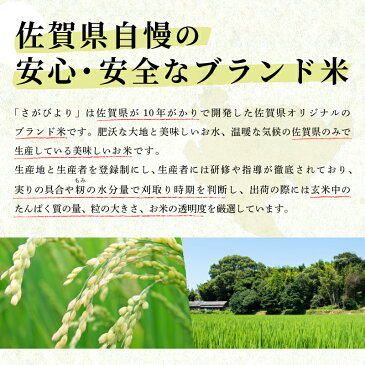 【ふるさと納税】令和3年産 さがびより12kg (10kg+2kg)【先行予約】令和3年11月より発送